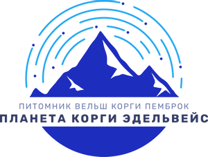 Планета Корги Эдельвейс Барри